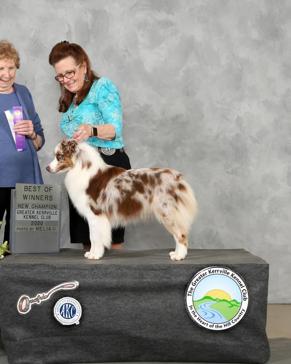 GCH CH STELLAR'S RUNNING FOR THE ROSES