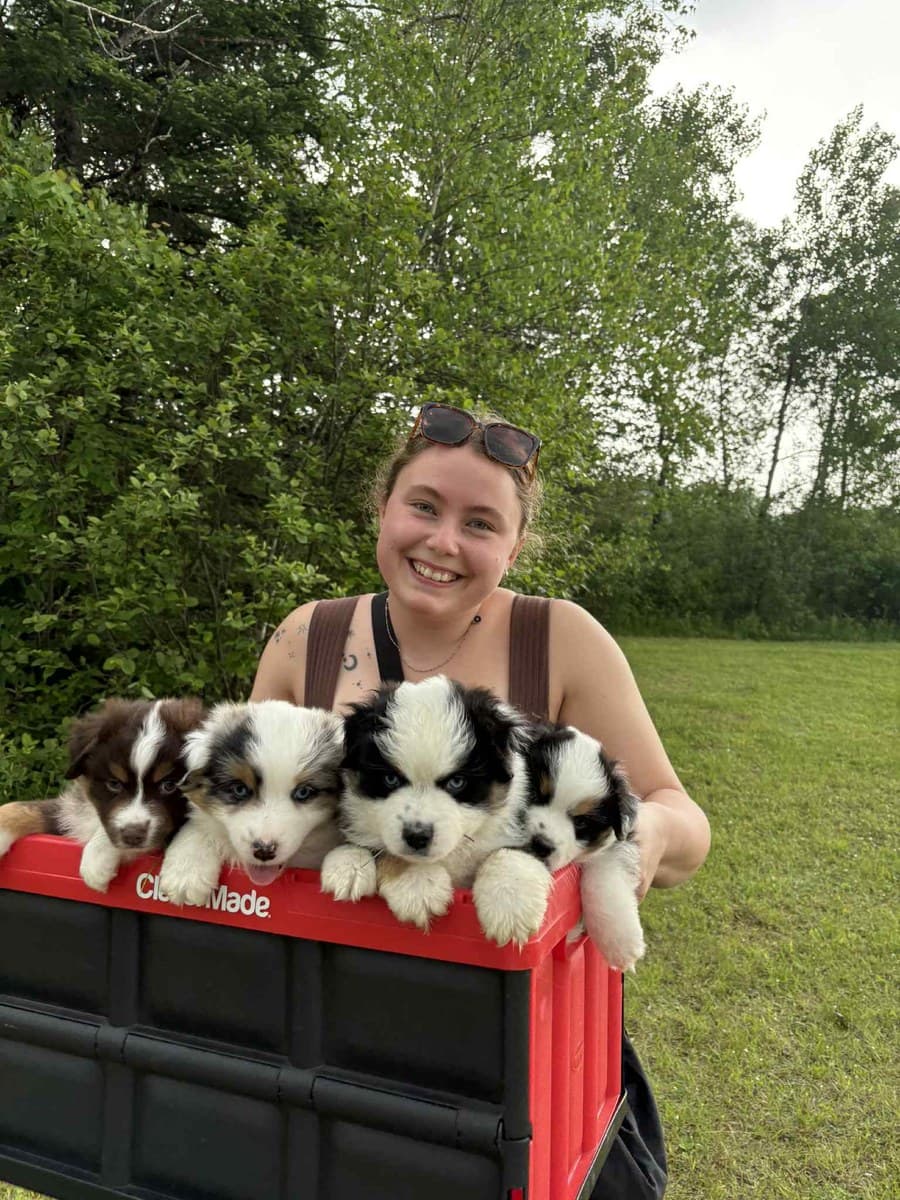 Éleveuse Dudswelriver présentant une portée de chiots MAS à l'extérieur